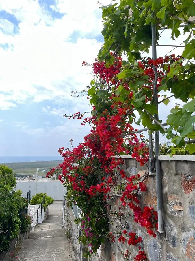 Villa Bella Vista - Near The Beach And Airport Dalaman Turkey